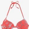 Sunseeker Push-up Bikini Tops Push-up Bikinitop Ditsy Dames Oranjerood -Sunseeker Winkel 7b7f39b3390ebeec17ca3a96f6091c48