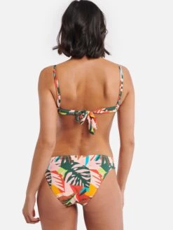 Shiwi Bikini Broekjes Regular Bikinibroek Frangipani Dames Gemengde Kleuren -Sunseeker Winkel ef89a07ff1f5af43429aef9a37a181e5
